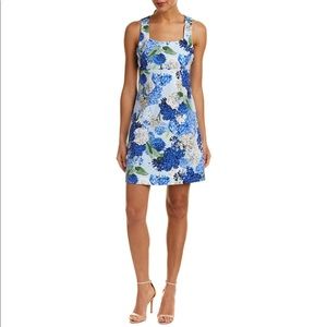 CeCe by Cynthia Steffe Structured Floral Dress
